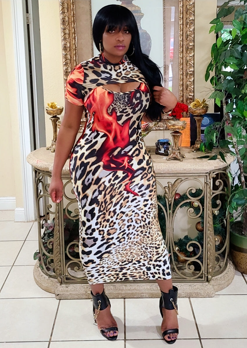 Safari Dress Set